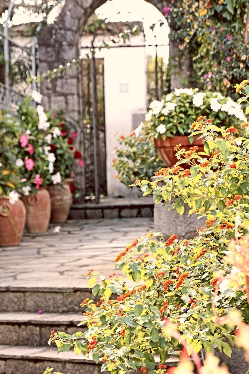 Cavalluccio Marino Anacapri  Bagian luar foto