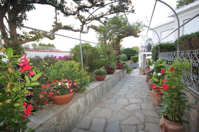 Cavalluccio Marino Anacapri  Bagian luar foto